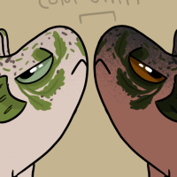 Thumbnail for Bet-371: Broth