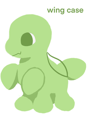Bokkudo Wing Case