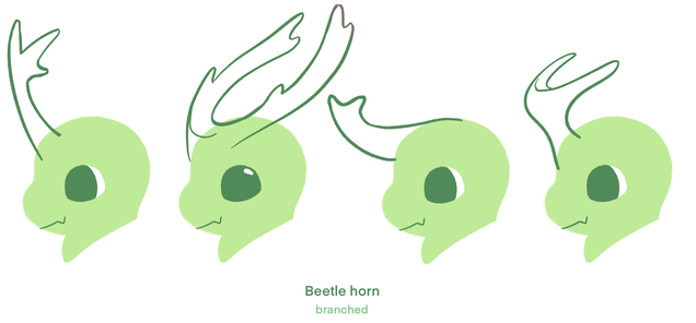 Bok Beetle Horns